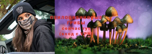 скорость Семилуки